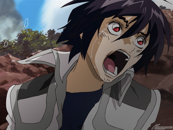 機動戦士ガンダムseed Destiny Gundam Info 機動戦士ガンダムseed Destiny Gundam Info