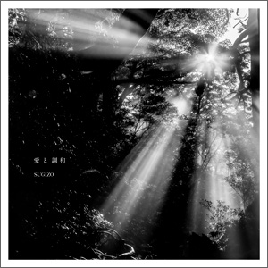 THE ORIGIN 前夜 赤い彗星』の楽曲も収録!SUGIZO25周年記念ベスト ...
