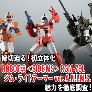 森本がーにゃのSDガンダムいんふぉ 番外編「ROBOT魂 ＜SIDE MS