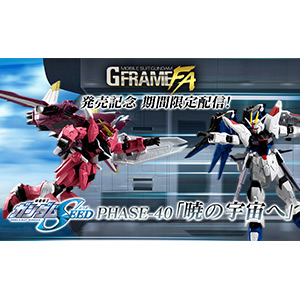 機動戦士ガンダム GフレームFA νガンダム＆サザビー オプション