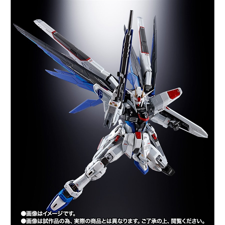 超合金&ROBOT魂「ZGMF-X10A フリーダムガンダム Ver.GCP