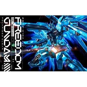 FREEDOM【完全生産限定盤】 | GUNDAM.INFO