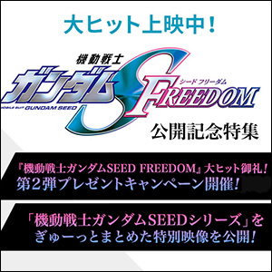 アナログ盤『機動戦士ガンダムSEED FREEDOM』オリジナルサウンド