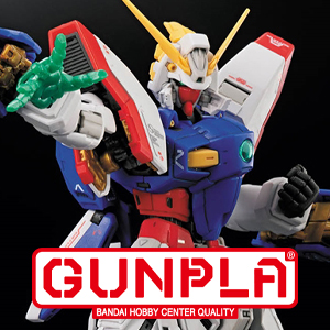 新品 HG エグザベ専用ギャン 軽キャノン RG シャイニングガンダム セット 新品 HG エグザベ専用ギャン 軽キャノン RG シャイニング