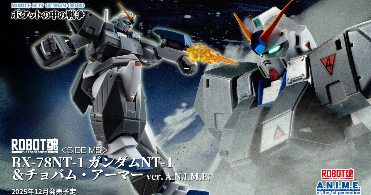 ROBOT魂 ガンダムNT-1＆チョバム・アーマー ver. A.N.I.M.E.」12