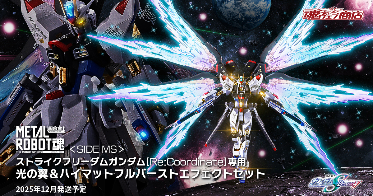 METAL ROBOT魂 ストライクフリーダムガンダム［Re:Coordinate