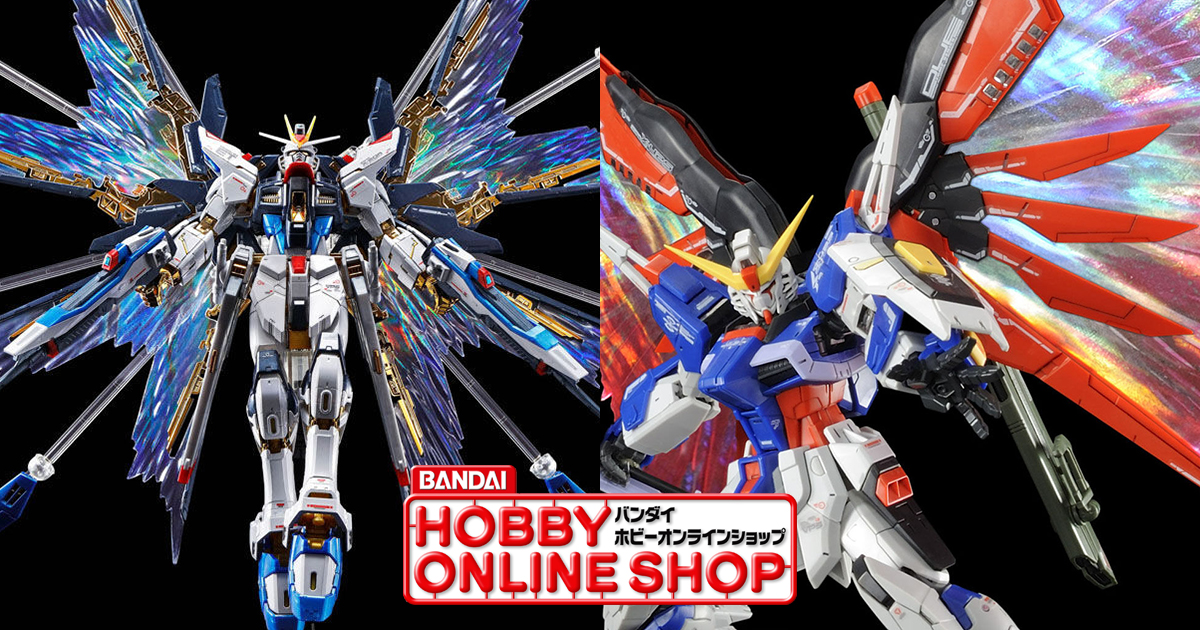 BANDAI NAMCO Entertainment - RG チタニウムフィニッシュ2体セット ストライクフリーダム+ デスティニー ガンプラ「RG ストライクフリーダムガンダム［チタニウム