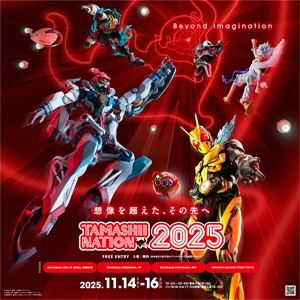 BANDAI ROBOT魂 百式 VER. A.N.I.M.E. とろ＋ひまつぶし | ROBOT魂[SIDE MS]：MSN-00100 百式 ver